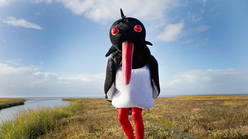 Human-size oystercatcher puppet on salt marsh. © Win win film.