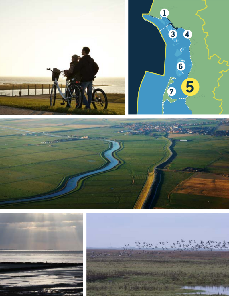 Compilation of a map of the Danish Wadden Sea and four pictures: two bikers on dike, aerial of river, green fields and settlement, sun rays over exposed mudflat, flock of birds above marsh.