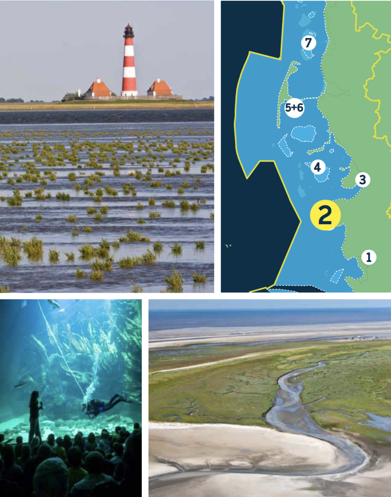 Compilation of a map of the Schleswig Holstein Wadden Sea and three pictures: exposed mudflat with vegetation and lighthouse with two houses in distance, spectators and guide on aquarium window with diver and sealife in aquarium, aerial of salt marsh and tidal creek.